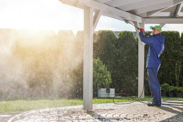 Best Pre-Holiday Cleaning  in Harrison, MI