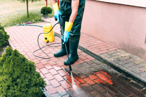 Best Dumpster Area Cleaning  in Harrison, MI
