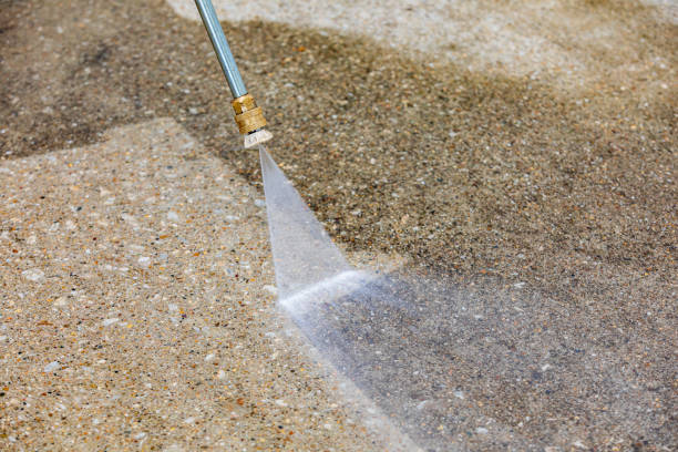 Best Patio and Deck Pressure Washing  in Harrison, MI