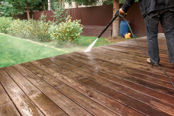 Best Gutter Cleaning  in Harrison, MI