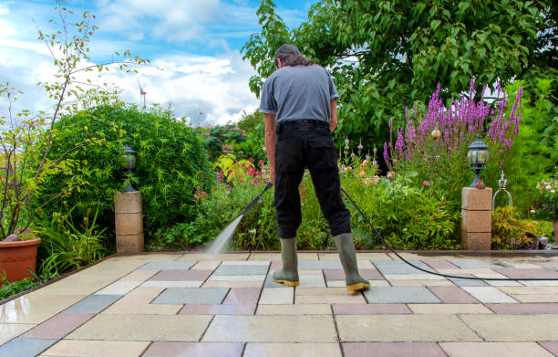Best Sidewalk and Walkway Cleaning  in Harrison, MI